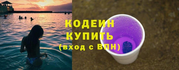 шишки Гусь-Хрустальный